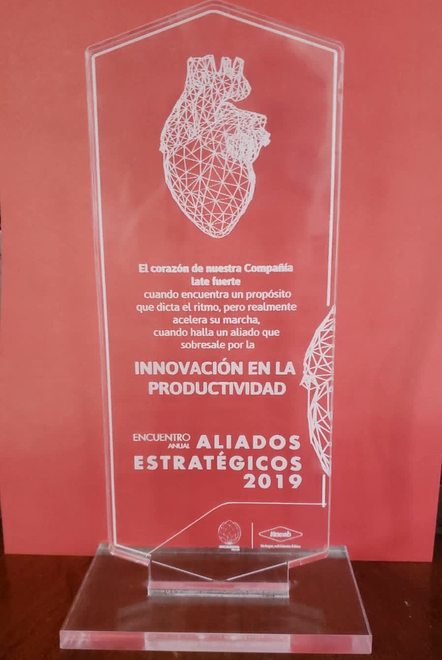 Historia GYJ 2019
